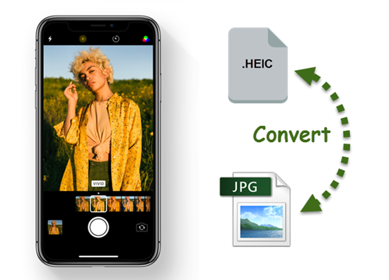 Free Video Converter For Ipad Mac